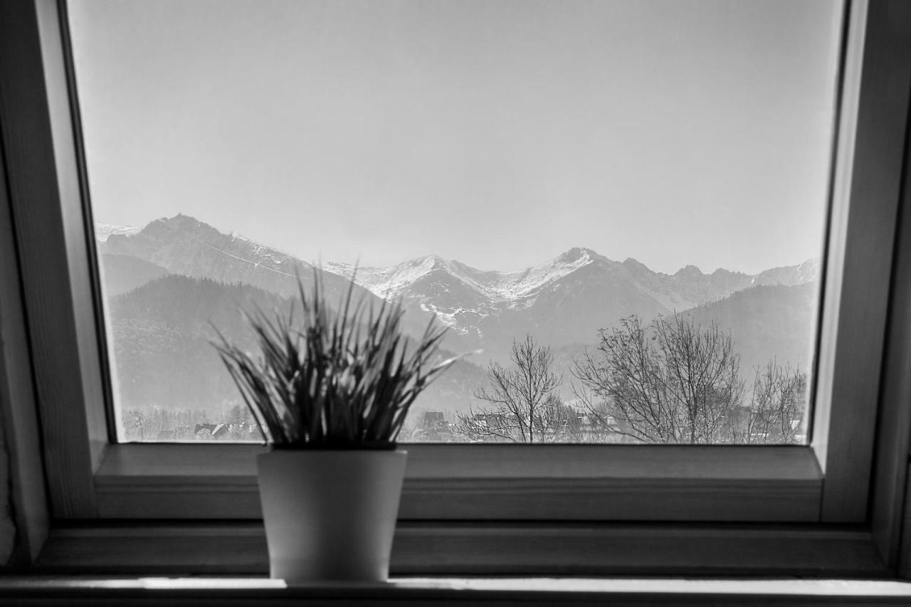 Apartament Olczanka Zakopane Zewnętrze zdjęcie